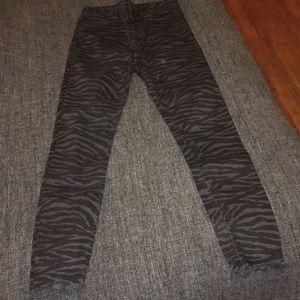 Zara jean zebra